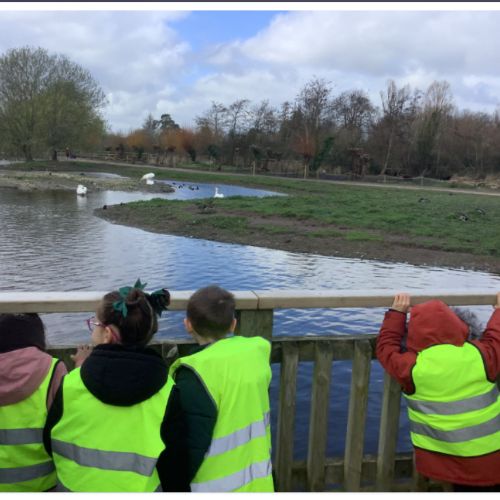 Year 1 - Slimbridge 2026